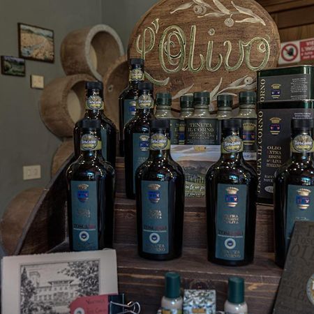 Tenuta Il Corno Agriturismo San Casciano in Val di Pesa Eksteriør billede